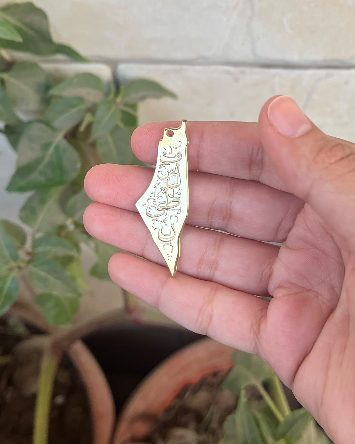 Gold Plated - Lifestyle
